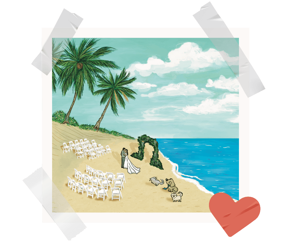 Beach Wedding