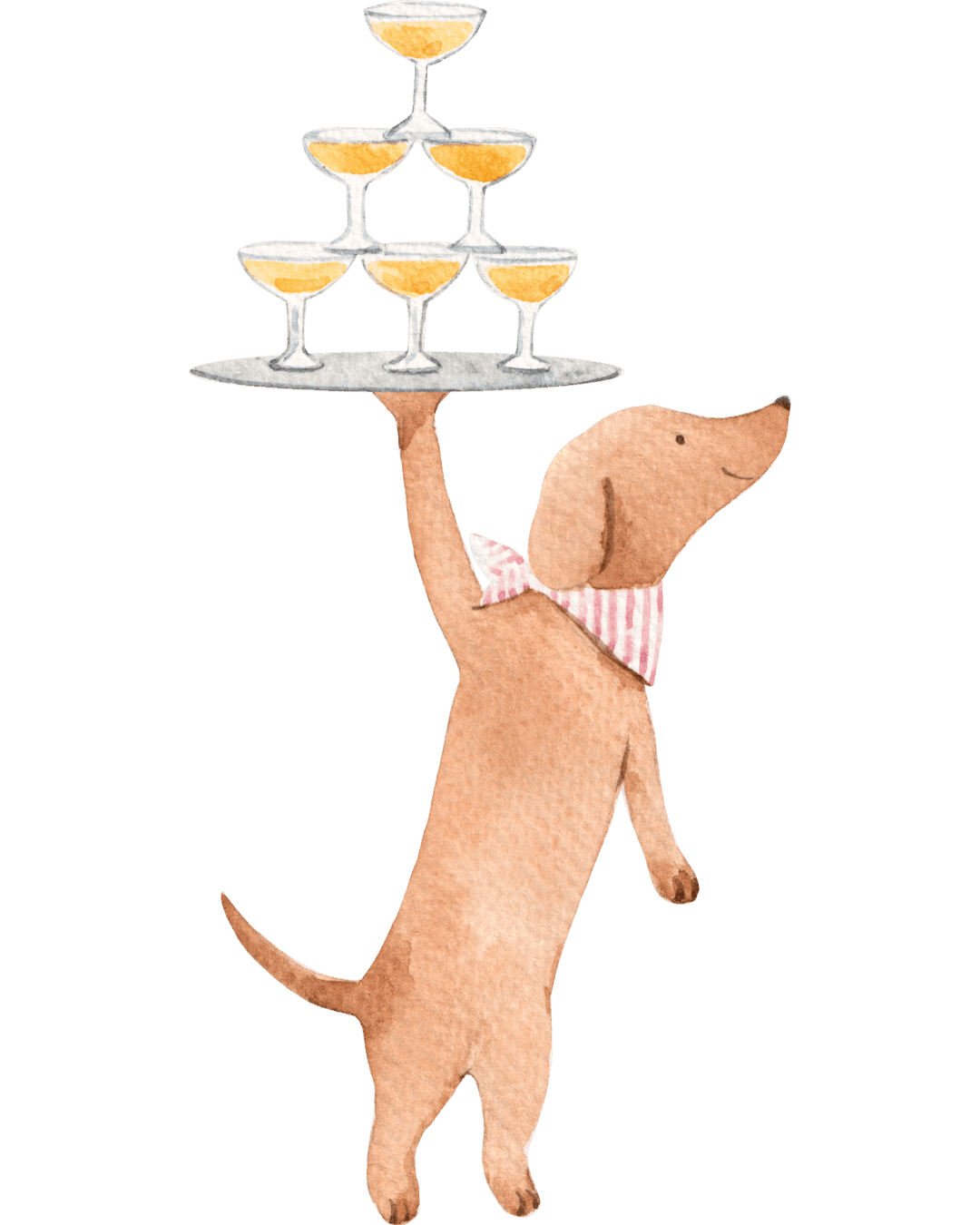 Dog with drinks